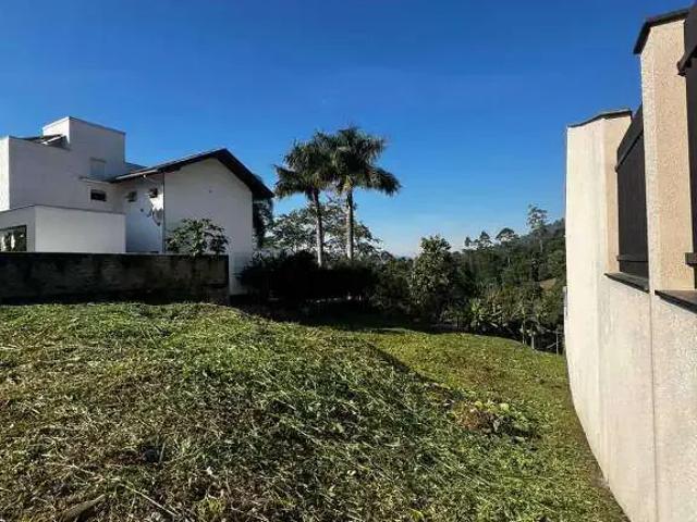 Terreno / Lote para Venda em Pomerode/SC Ribeirão Areia