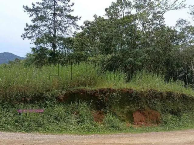 Terreno / Lote para Venda em Pomerode/SC Testo Alto
