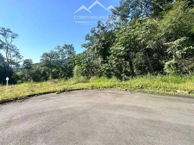 Terreno / Lote para Venda em Pomerode/SC Testo Central