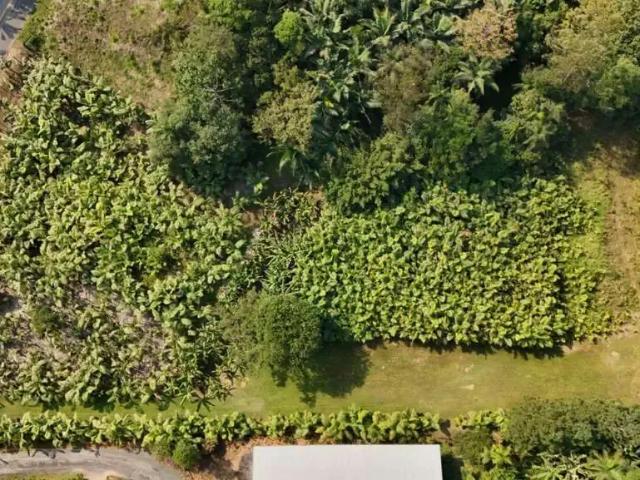 Terreno / Lote para Venda em Pomerode/SC Testo Central