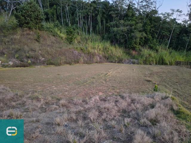 Terreno / Lote para Venda em Pomerode/SC Testo Central