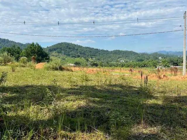 Terreno / Lote para Venda em Pomerode/SC Testo Central