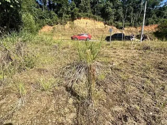 Terreno / Lote para Venda em Pomerode/SC Testo Central