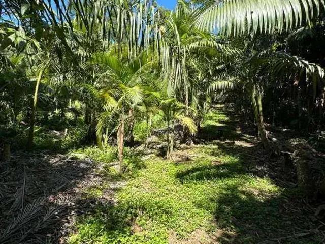 Terreno / Lote para Venda em Pomerode/SC Testo Rega