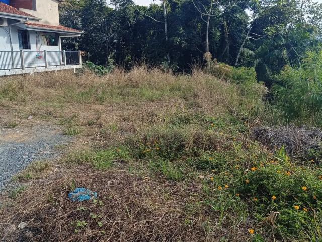 Terreno / Lote para Venda em Pomerode/SC Testo Rega