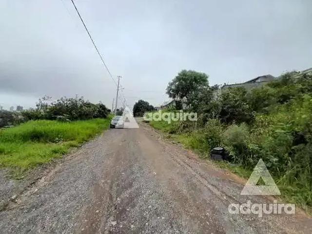 Terreno / Lote para Venda em Ponta Grossa/PR Uvaranas