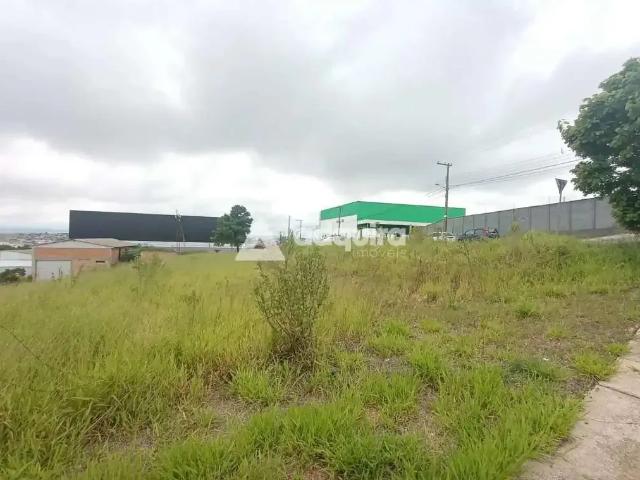 Terreno / Lote para Venda em Ponta Grossa/PR Boa Vista