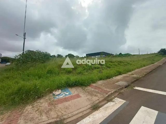 Terreno / Lote para Venda em Ponta Grossa/PR Boa Vista