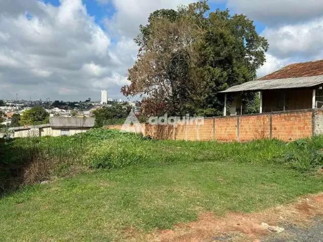 Terreno / Lote para Venda em Ponta Grossa/PR Boa Vista