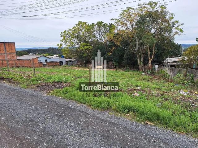 Terreno / Lote para Venda em Ponta Grossa/PR Boa Vista