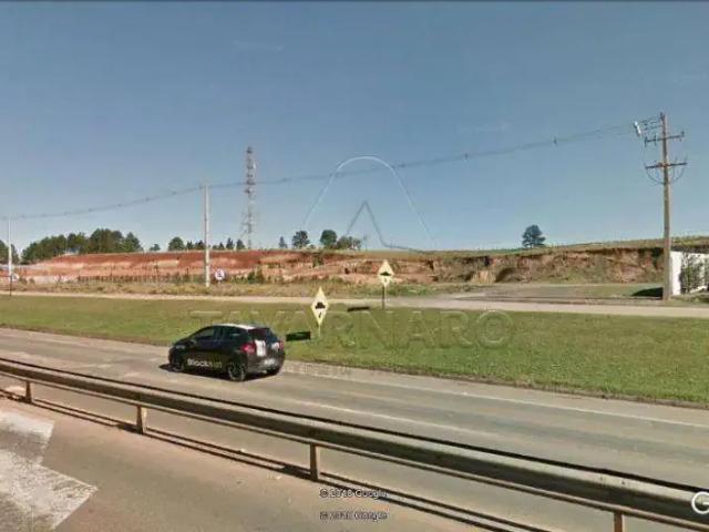 Terreno / Lote para Venda em Ponta Grossa/PR Boa Vista