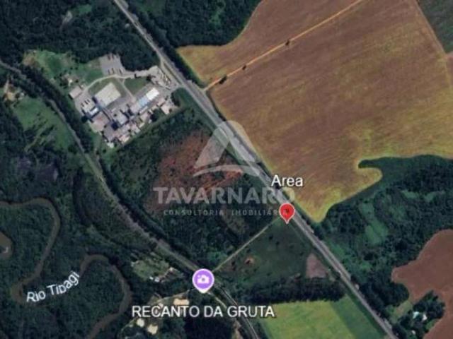 Terreno / Lote para Venda em Ponta Grossa/PR Cará cará