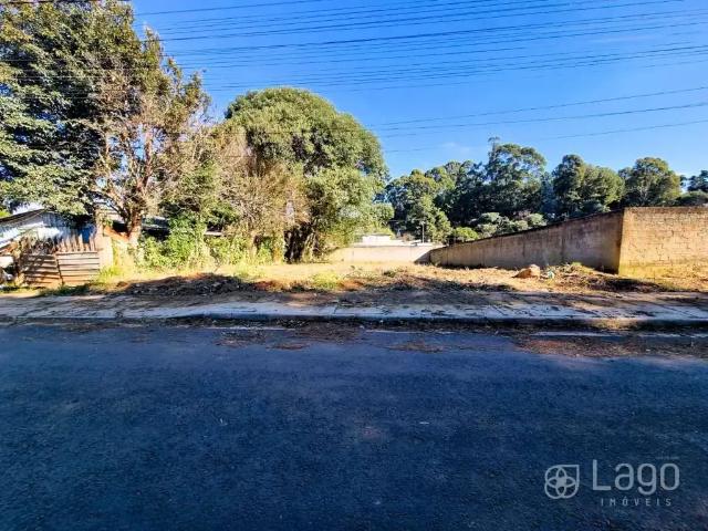 Terreno / Lote para Venda em Ponta Grossa/PR Cará cará
