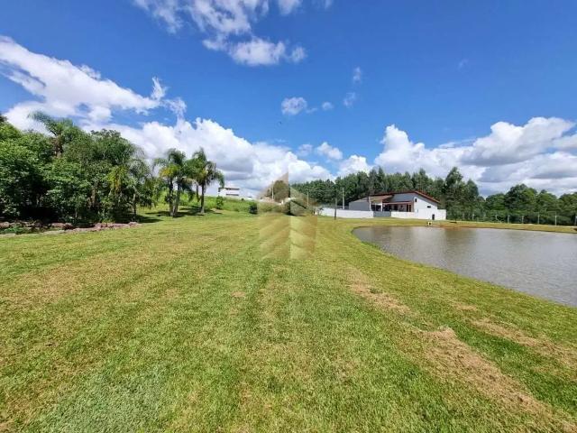 Terreno / Lote para Venda em Ponta Grossa/PR Centro