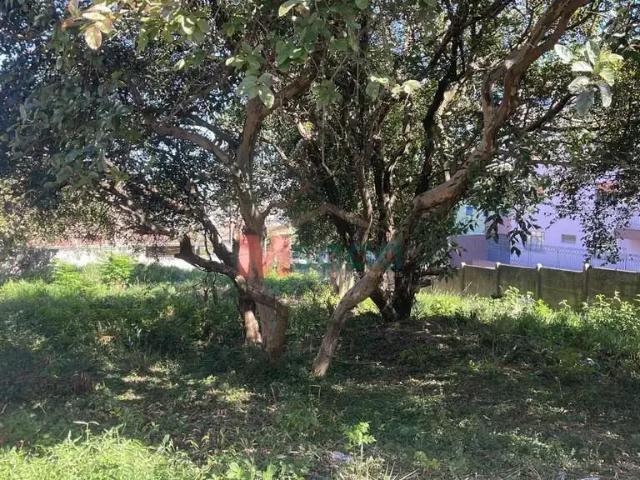 Terreno / Lote para Venda em Ponta Grossa/PR Centro