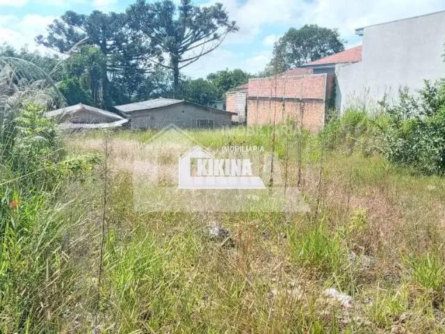 Terreno / Lote para Venda em Ponta Grossa/PR Centro