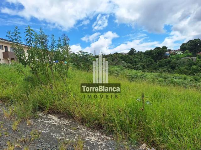 Terreno / Lote para Venda em Ponta Grossa/PR Chapada