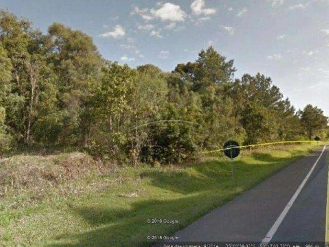 Terreno / Lote para Venda em Ponta Grossa/PR Chapada