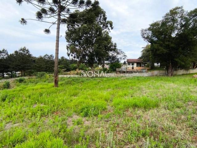 Terreno / Lote para Venda em Ponta Grossa/PR Chapada