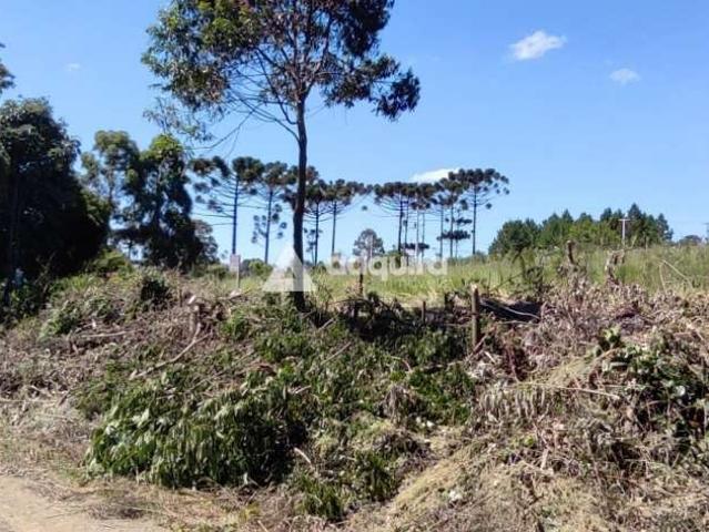 Terreno / Lote para Venda em Ponta Grossa/PR Chapada