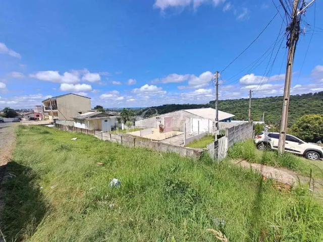 Terreno / Lote para Venda em Ponta Grossa/PR Chapada
