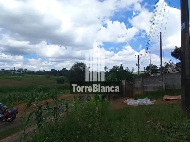 Terreno / Lote para Venda em Ponta Grossa/PR Chapada