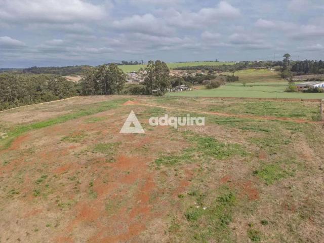 Terreno / Lote para Venda em Ponta Grossa/PR Chapada