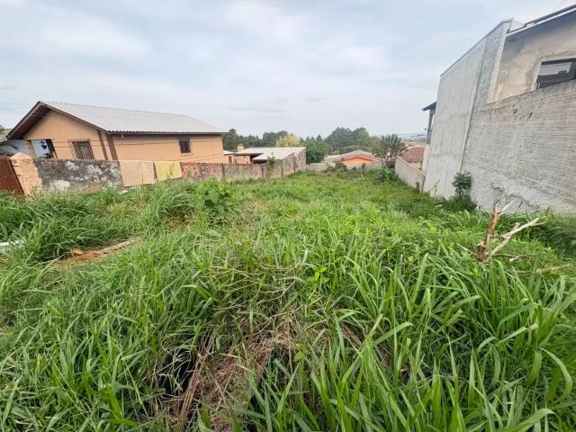 Terreno / Lote para Venda em Ponta Grossa/PR Contorno