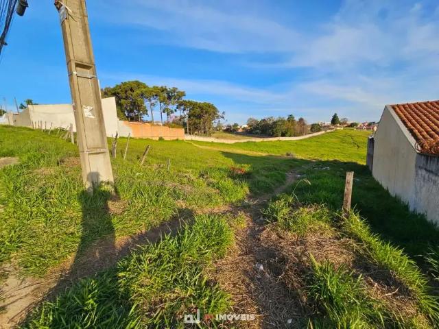 Terreno / Lote para Venda em Ponta Grossa/PR Contorno