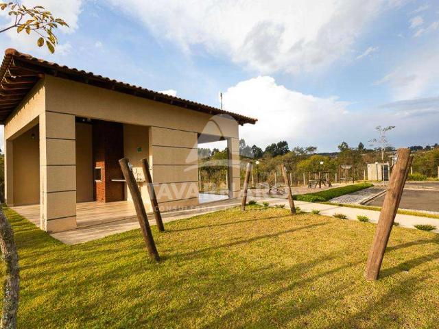 Terreno / Lote para Venda em Ponta Grossa/PR Contorno