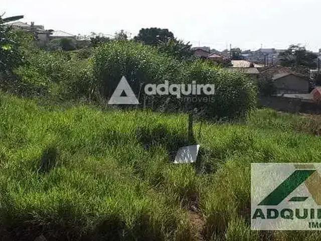 Terreno / Lote para Venda em Ponta Grossa/PR Contorno