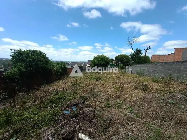 Terreno / Lote para Venda em Ponta Grossa/PR Contorno