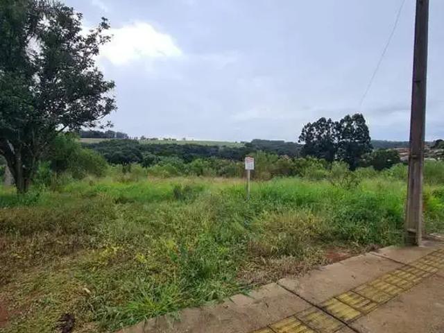 Terreno / Lote para Venda em Ponta Grossa/PR Contorno