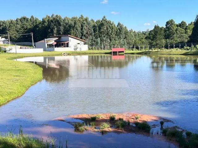 Terreno / Lote para Venda em Ponta Grossa/PR Contorno