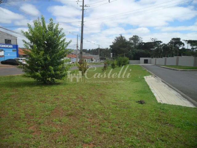 Terreno / Lote para Venda em Ponta Grossa/PR Contorno