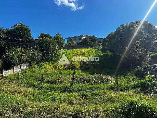 Terreno / Lote para Venda em Ponta Grossa/PR Contorno