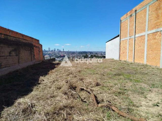 Terreno / Lote para Venda em Ponta Grossa/PR Contorno
