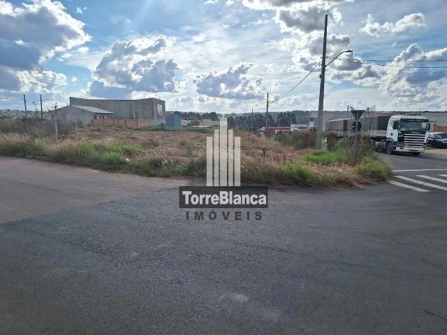 Terreno / Lote para Venda em Ponta Grossa/PR Colônia Dona LuÍza
