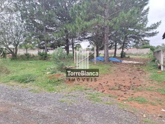 Terreno / Lote para Venda em Ponta Grossa/PR Colônia Dona LuÍza