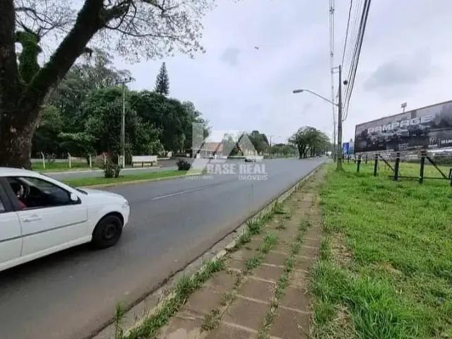 Terreno / Lote para Venda em Ponta Grossa/PR Colônia Dona LuÍza
