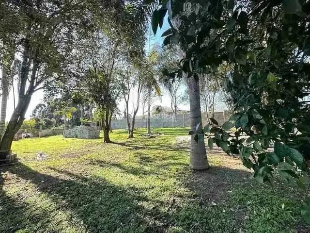 Terreno / Lote para Venda em Ponta Grossa/PR Colônia Dona LuÍza
