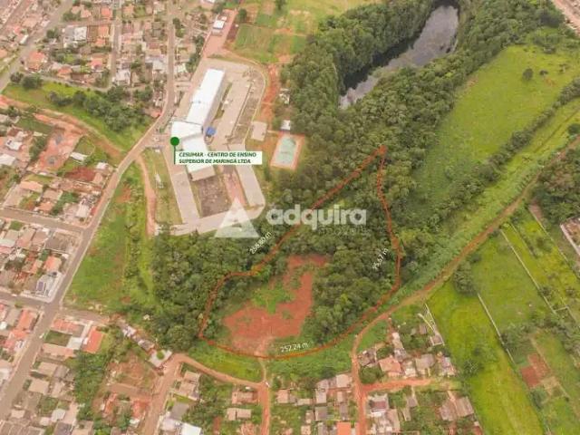Terreno / Lote para Venda em Ponta Grossa/PR Colônia Dona LuÍza