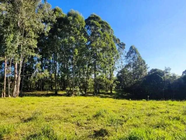 Terreno / Lote para Venda em Ponta Grossa/PR Colônia Dona LuÍza