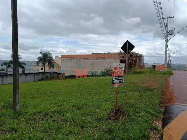 Terreno / Lote para Venda em Ponta Grossa/PR Estrela 1 Quartos
