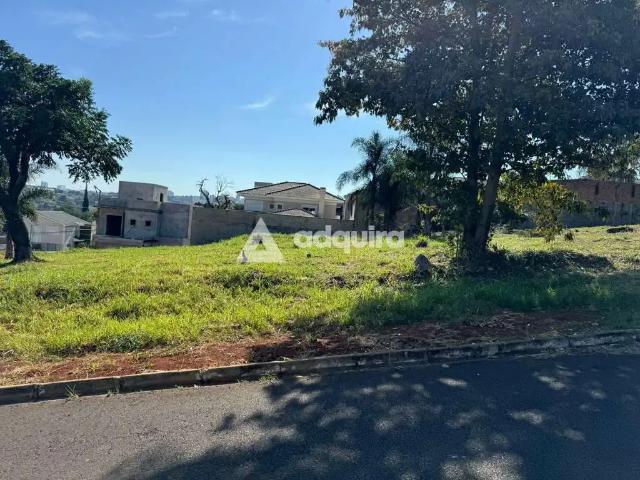 Terreno / Lote para Venda em Ponta Grossa/PR Estrela