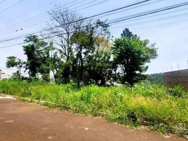 Terreno / Lote para Venda em Ponta Grossa/PR Estrela