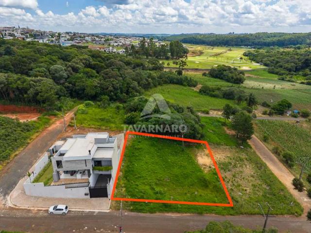 Terreno / Lote para Venda em Ponta Grossa/PR Estrela