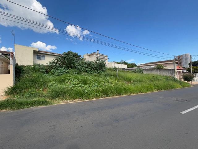 Terreno / Lote para Venda em Ponta Grossa/PR Estrela