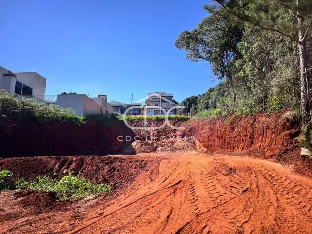 Terreno / Lote para Venda em Ponta Grossa/PR Estrela