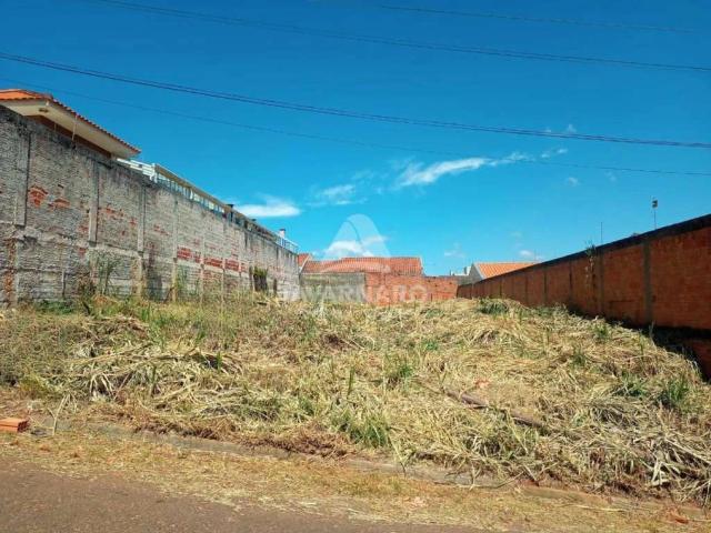 Terreno / Lote para Venda em Ponta Grossa/PR Estrela